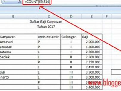 Cara Mencari Jumlah Data Di Excel